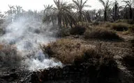 ۲۰ هزار نهال خرما در آتش سوزی اروند از بین رفت