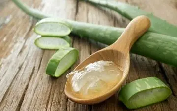  کاربردهای آلوئه ورا برای سلامت و زیبایی