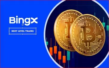 صرافی بینگ ایکس برای کجاست؟