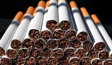 ۲۲ هزار نخ سیگار قاچاق در فردیس به مقصد نرسید