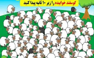 اگه زیر ده ثانیه بره خوابیده رو پیدا کنی یه نابغه ای! | تست هوش