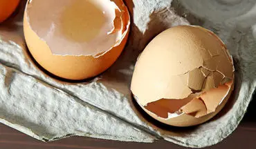 آشنایی با فواید عجیب و باورنکردنی پوست تخم مرغ!