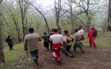 فوت مرد ۶۰ ساله بر اثر سقوط از درخت در «زرین گل» علی آبادکتول