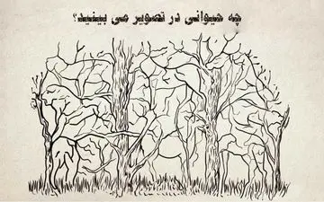 چه حیوانی را اول می‌بینی؟ بگوتا زوایای شخصیتی خودت را بهت بگم!