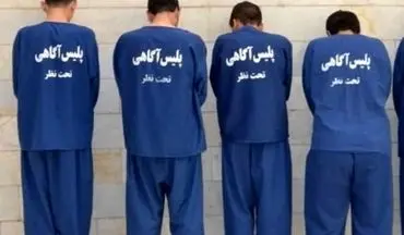 29 فقره سرقت منزل در کرمانشاه کشف شد

