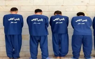 29 فقره سرقت منزل در کرمانشاه کشف شد

