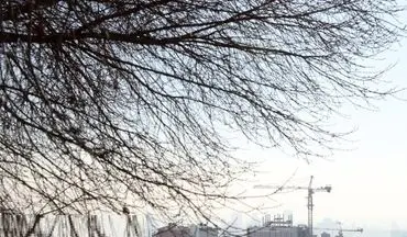 اوضاع آلودگی هوای تهران طی هفته آینده بهتر خواهد شد
