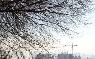 اوضاع آلودگی هوای تهران طی هفته آینده بهتر خواهد شد
