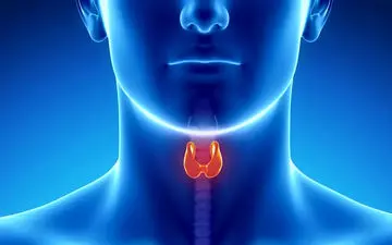 غده تیروئید و حقایقی که درباره آن باید بدانید