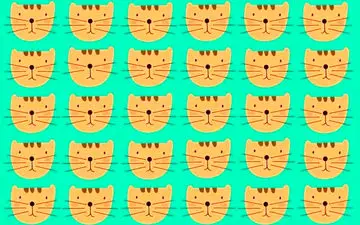 یکی از گربه ها با بقیه فرق داره، پیداش کن + پاسخ