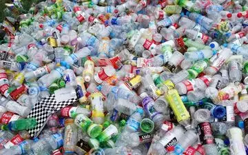 باکتری که می‌تواند دنیا را نجات بدهد