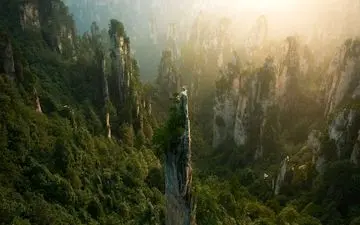  عکس منتخب نشنال جئوگرافیک | برج های جنگل