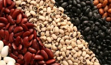 ممنوعیت صادرات حبوبات تا اطلاع ثانوی