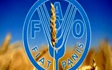 نماینده فائو در منطقه آسیا و اقیانوسیه تعیین شد