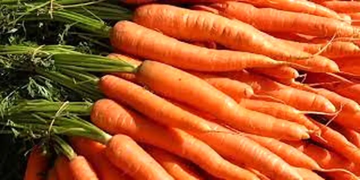 ریزش قیمت هویج در بازار + جزییات 