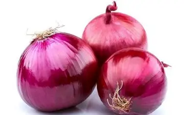 پیاز جادویی کشف شد/ ۸ برابر آنتی‌اکسیدان بیشتر در این پیاز خاص