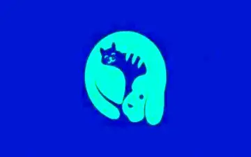 تست شخصیت؛ بگو در تصویر چه دیدی تا بگم چقدر تنبلی!
