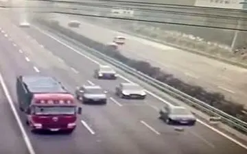 گوسفندانی که در اتوبان فاجعه آفریدند + فیلم 