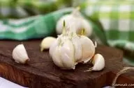 گیاهی که کلسترول، تری‌گلیسیرید، فشار خون، قند خون را کاهش و سیستم ایمنی را تقویت می کند