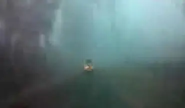 سفر فوق العاده در جاده ای مه آلود