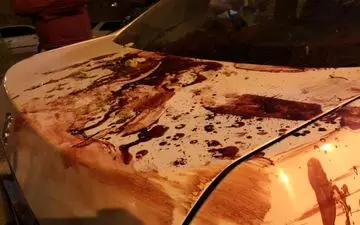 خبرورزشی به کمیته انضباطی شکایت می‌کند/بعضی‌ها حاضرند هر کاری بکنند، ولی عذرخواهی نکنند!