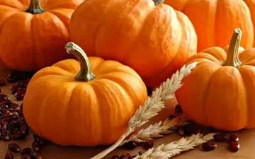 خواص بینظیر کدو حلوایی را بدانید!