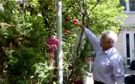مردی که پس از ۴۰ سال تلاش، حیاط خانه‌اش را به بهشت تبدیل کرده است