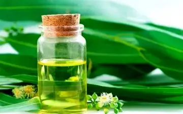 با این روغن‌های گیاهی دشمن آلرژی بهاری است
