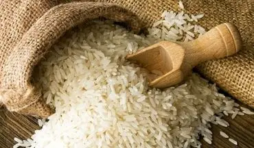 توزیع ۱۰۰ هزار تن برنج هندی، پاکستانی و تایلندی در بازار