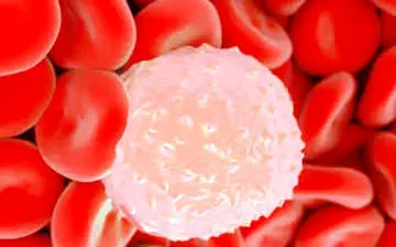 این مشکل را بسیار جدی بگیرید!