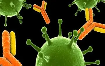 چقدر ممکن است دوباره به کرونا مبتلا شویم؟