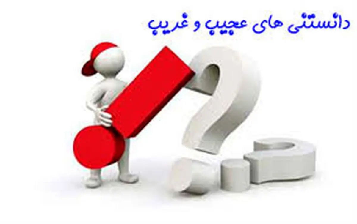 بیکار نشین | دانستنی های جالب بخون!