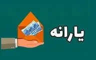 چه کسانی مشمول یارانه 600 هزار تومانی می شوند؟! 