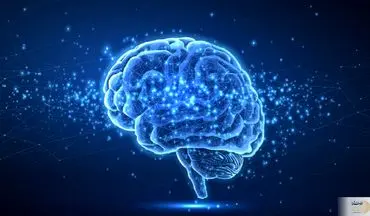 اگر به فکر سلامت مغزتان هستید حتما این مطلب را بخوانید!