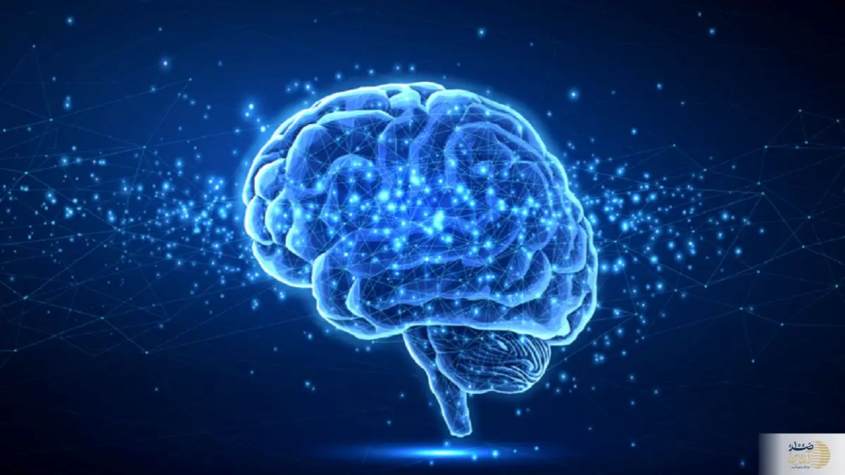 اگر به فکر سلامت مغزتان هستید حتما این مطلب را بخوانید!