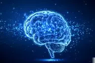 اگر به فکر سلامت مغزتان هستید حتما این مطلب را بخوانید!