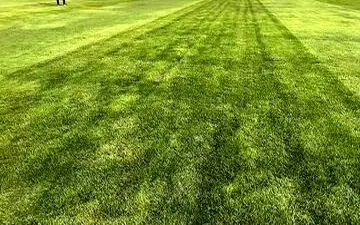 استقلال - شمس آذر؛ یک ساعت تاخیر به خاطر ورزشگاه، فوتبال و خواست دو تیم بود یا یا تلویزیون و کشتی؟ 