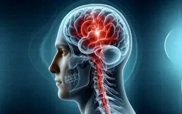 عامل های مهم در پیر شدن مغز انسان

