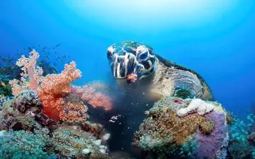  عکس منتخب نشنال جئوگرافیک | به وقت ناهار