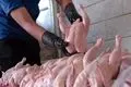 نرخ جدید مرغ امروز 27 مرداد 1404؛ قیمت مرغ تازه و منجمد در بازار