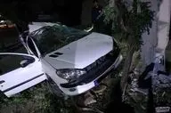 مرگ دلخراش دو جوان در واژگونی ۲۰۶ در زرند