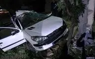 مرگ دلخراش دو جوان در واژگونی ۲۰۶ در زرند