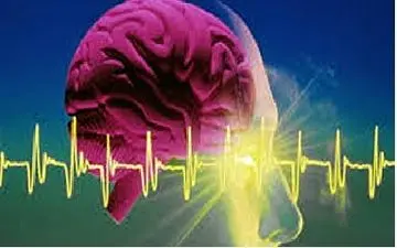 برگزاری کنفرانس علمی "درمان گیاهی میگرن"