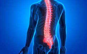 
تاثیر سلول‌های بنیادی در درمان آسیب نخاعی
