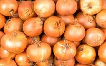 پیاز باز هم رکوردار گرانی شد/ افزایش ۱۵ درصدی قیمت گوشت گوسفندی در دیماه