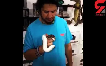 مار پیتون در دستان بازیگر معروف + فیلم 