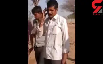 پایان مرگبار نمایش مارگیری! + فیلم