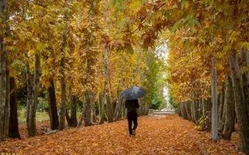 علائم و نشانه  های "افسردگی پاییزی" 