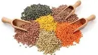  با خوردن این مواد غذایی شاد می شوید!