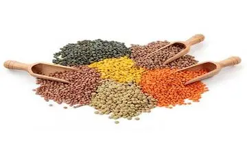  با خوردن این مواد غذایی شاد می شوید!